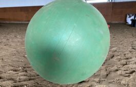 ballon-vert-niveau1