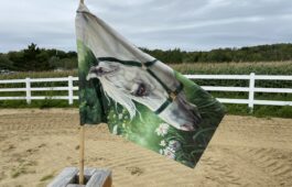 drapeau-niveau3