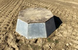 pied-estale-niveau1