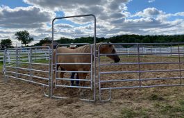 round-pen-installation