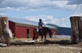 saut-cross-country-1-niveau2