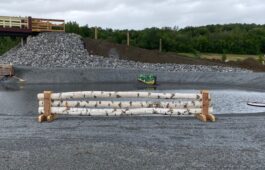 saut-cross-country-4-niveau2