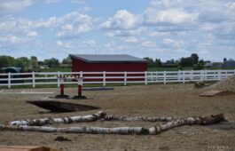 saut-cross-country-5-niveau2