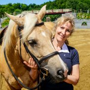 Une série de parcours pour aider les chevaux à vivre avec les humains
