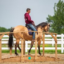 Tom von Kapherr Photography-6998
