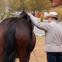 kathy laverdure photographie-23
