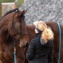 kathy laverdure photographie-50