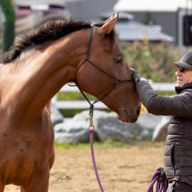 kathy laverdure photographie-60