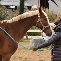 kathy laverdure photographie-64
