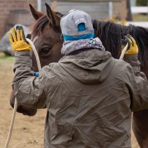 kathy laverdure photographie-66