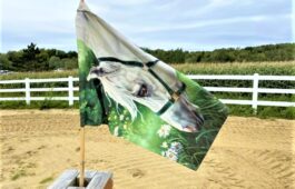 15 Drapeau 3