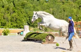 Saut cross rond en verdure