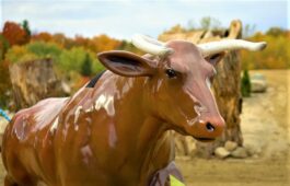Taureau